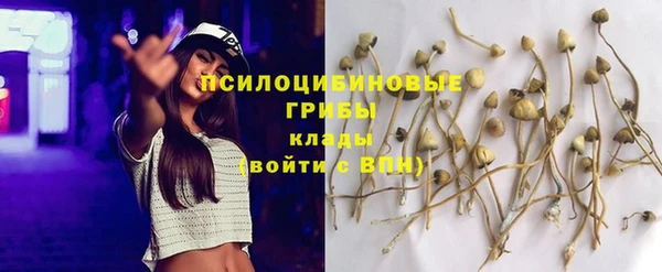 гидропоника Алзамай