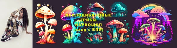 дурь Алексин