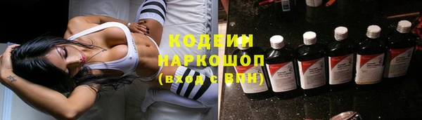 дурь Алексин