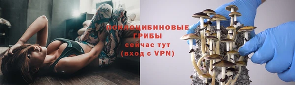 гидропоника Алзамай