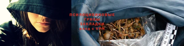 хмурый Алексеевка
