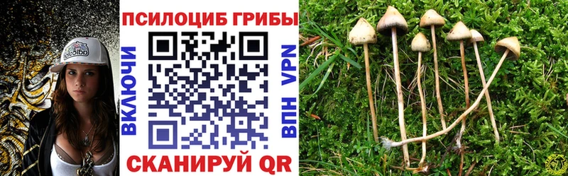 купить закладку  ссылка на мегу   Псилоцибиновые грибы мухоморы  Белебей 