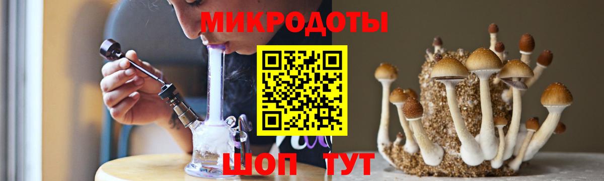 Псилоцибиновые грибы Psilocybe Белебей
